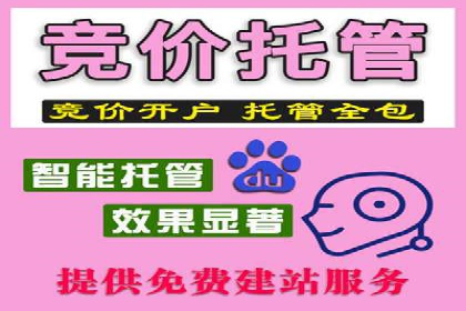 某sem公司成功案例揭秘